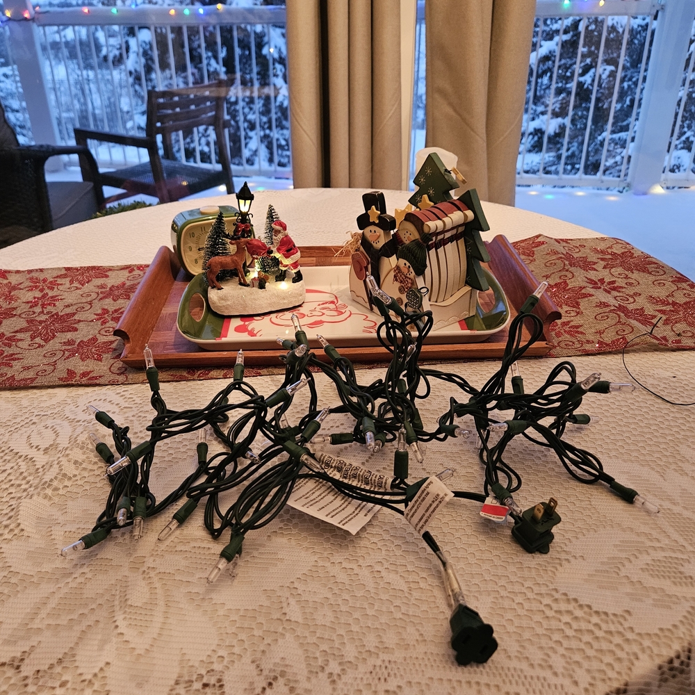 Indoor/Outdoor Mini Lights